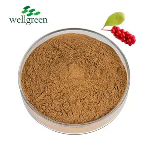 Estratto di erbe cinesi estratto di bacche di Schisandra in polvere totale schisandrina 1% 2% 3%