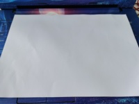 Papier d'impression numérique à encre vinyle pour l'impression de feuilles de pvc auto-adhésives