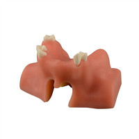 Modèle de pratique de placement d'implant de levage de sinus dentaire B modèle de formation d'implant de base pratique gencives molles dent de formation dentaire
