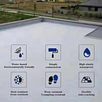 Revêtement de toiture imperméable en caoutchouc de silicone liquide - Design moderne, écologique et résistant aux UV