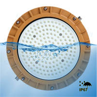 Lampe antidéflagrante en métal IR Durable 13000 Lux Lampara industriel utilisé pour une croissance sûre Warsztatowa escalier couloir Petroleo