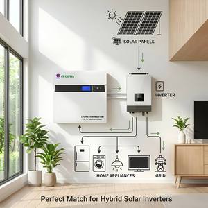 Baterai Champion Powerwall Lifepo4 Powerwall 10kwh 51.2v 100ah Paket Baterai Lithium untuk Energi Terbarukan - Product Image 3