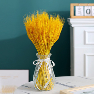 Bouquet de 100 tiges de blé séché Gardenia, dorées, 45-50 cm, accessoire décoratif pour la maison - Product Image 3