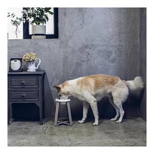 Breed Health Stand Food Shop Wholesale Product Ceramic Cat Elevated <b>Feeding</b> Large Supply Pet Accessory <b>Raised</b> <b>Dog</b> <b>Bowl</b> Feeder - Product Image 1