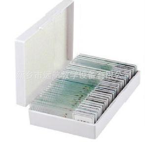 In stock: 100-slide <b>microscopic</b> slides in a comprehensive box. - Product Image 4