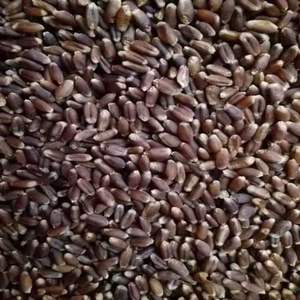 La <span class=keywords><strong>segale</strong></span> può essere utilizzata per cucinare il Congee può essere utilizzata anche per la cottura - Product Image 3