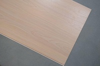 Panneaux de plafond en PVC légers - Modernes, imperméables, ignifuges, insonorisés, suspendus |   Garantie de 3 ans pour la chambre à coucher, le salon, l'hôtel