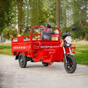 Preiswerter Werks-Elektro-Ladertreirad geschlossene geräumige Fahrerkabine 60 Volt Elektro-Ladertreirad zum Verkauf für Erwachsene