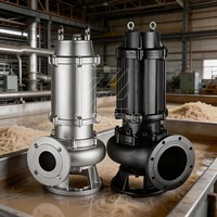 Pompe à eaux usées submersible en acier inoxydable et fonte avec revêtement anticorrosion, haute pression, haute efficacité, certifiée ISO9001 CE, marine