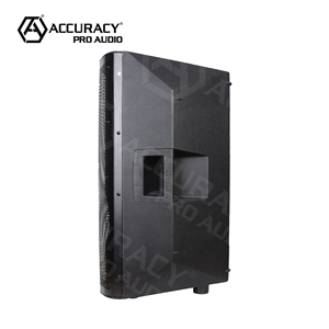 Accuracy Pro AudioCAN10AOH 100W fiesta <span class=keywords><strong>DJ</strong></span> karaoke amplificador digital profesión altavoz de potencia activa sistema de audio caja de sonido de CH - Product Image 3