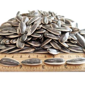 Semillas de Girasol Nueva Cosecha T6 361 363, Grano Grande, Grado Comestible, Precio al por Mayor para Distribuidores y Empresas Comerciales - Product Image 1