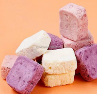 Gefreeze-droogde yoghurtblokjes met echt fruit - Gezonde & heerlijke snack voor kinderen en volwassenen