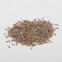 Graines de Cumin Séchées en Vrac de Haute Qualité à Prix Raisonnable