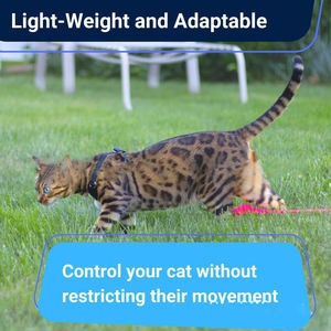 リーシュセット付きカスタムロゴ猫ハーネスメーカー卸売 - Product Image 4