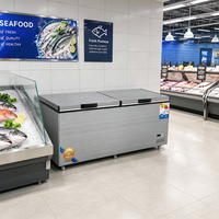 Congélateur coffre commercial double température grande capacité pour stockage frigorifique, équipement de cuisine de restaurant, OEM CE