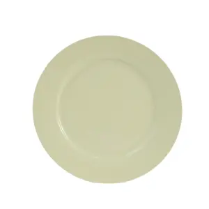 Stechcol Handcraft Modern Style Ceramic Plate Fine Bone China Round Dinner dishes 10.5 Inch