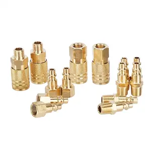 Basics Quick Connect Brass Air Coupler And Plug Kit - 1/4-Inch NPT Fittings