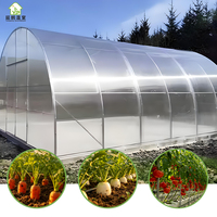 Serre agricole tropicale intelligente à grande portée et à simple portée avec couverture en tôle PC pour la culture de la tomate et le jardin potager