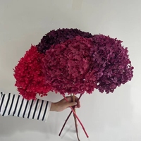 Matériel DIY : Fleurs d'hortensia Anna éternelles et préservées, colorées et durables, avec branches, vente en gros et en vrac