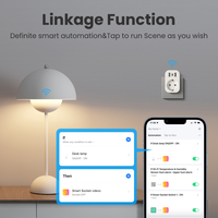 Tasmota Smart EU Plug 16A 2 puertos USB tipo C Medición de energía para Alexa y Google Assistant