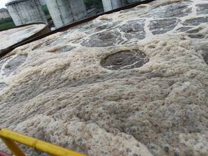 BP500 công nghiệp xử lý nước thải Probiotics sinh học loại bỏ cá tuyết và mỡ-làm suy giảm vi sinh vật - Product Image 4