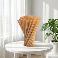 Pailles à boire jetables en agave, compostables, écologiques, à base de plantes, pour les fêtes