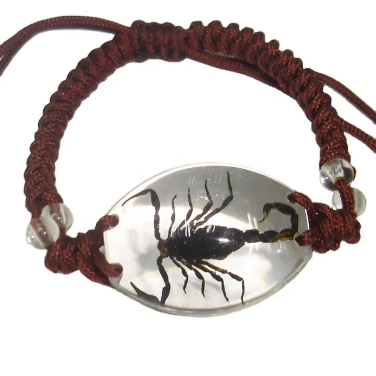 Boutique Insect Amber Handgemaakte Gevlochten Touw Armband Scorpion Armband Hars Armband