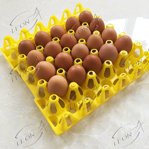 حاضنة بلاستيكية للدجاج 30 عدد صديقة للبيئة للبيع في باكستان 88 - Product Image 6