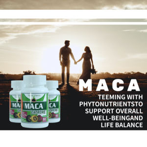 Steigert die sexuelle reproduktive Gesundheit Maca Strong Man Power Plus Kapsel Maca Root Plus Kapseln für Männer - Product Image 3