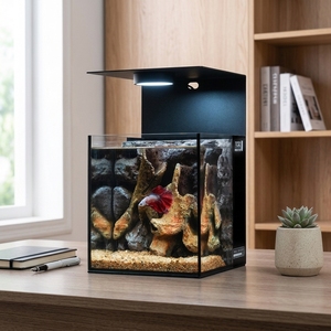 超透明玻璃斗鱼鱼缸后置过滤器水族箱套装 10 升方形桌面装饰鱼缸 - Product Image 4