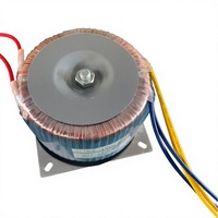 Transformateur toroïdal 300W 220V 24V, alimentation électrique, préamplificateurs, basse fréquence, haute puissance, monophasé, haute tension