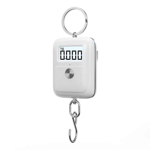 Mini 25kg Battery Powered Electronic Hook Scale Plastic ABS LCD Backlight Luggage Scale CE & ROHS Certified