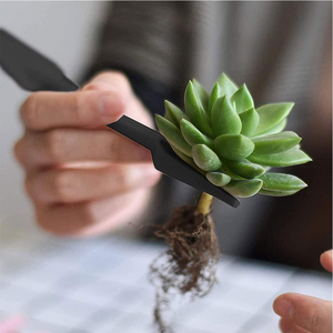 Juego de 13 Herramientas para Plantas Suculentas, Kit de Herramientas de Jardinería para Trasplante Manual, Accesorios para el Cuidado de Plantas para Bonsáis, Jardín Interior en Miniatura - Product Image 5
