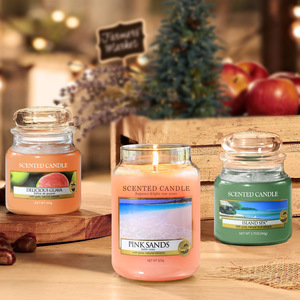 Kerstgeurende kaarsen cadeauset kleine glazen pot aromatherapie sojawas kaars Kerstmis housewarming verjaardag souvenir cadeau decoratie - Product Image 3