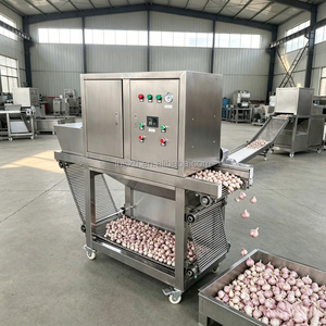 Équipement <span class=keywords><strong>de</strong></span> pelage <span class=keywords><strong>d</strong></span>'<span class=keywords><strong>ail</strong></span> haute capacité, éplucheur à chaîne en acier inoxydable, <span class=keywords><strong>d</strong></span>épelucheuse <span class=keywords><strong>d</strong></span>'<span class=keywords><strong>ail</strong></span> pour ligne <span class=keywords><strong>de</strong></span> production industrielle - Product Image 3