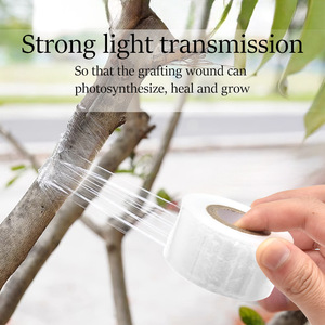 Película de injerto autoadhesiva de 3 cm x 6,4 cm, cinta de PP sin necesidad de quitarla, para injerto de árboles frutales, uso en jardinería - Product Image 5
