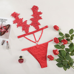 encaje de lencería sexy erótica Lencería traje de la ropa interior rojo 2 pieza lencería sexy transparente caliente - Product Image 6