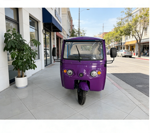 Véhicule électrique à batterie au lithium, tricycle électrique, tricycle à trois roues - Product Image 5