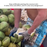 Machine commerciale pour écosser, décortiquer et éplucher les coques dures de noix de coco sèches et vieilles, pour la production de fibres