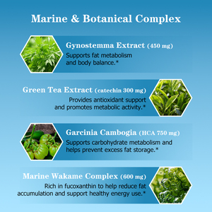 ผลิตภัณฑ์เสริมอาหารเพื่อลดน้ำหนักและเผาผลาญผงสารสกัดจาก Gynostemma - Product Image 3
