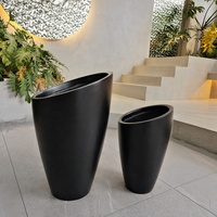 Jardinières modernes minimalistes noires avec topiaire circulaire verte pour la décoration intérieure