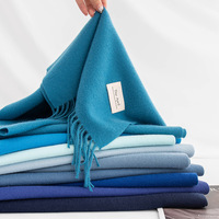 Écharpe en cachemire douce et chaude pour l'hiver, vente en gros directe d'usine, couleur unie bleue, écharpes en polyester bon marché pour la promotion en magasin
