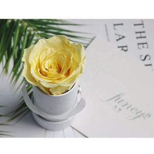 <span class=keywords><strong>Rosas</strong></span> Preservadas de Lujo al por Mayor, <span class=keywords><strong>Rosas</strong></span> Eternas <span class=keywords><strong>Estabilizadas</strong></span> para el Día de San Valentín, Caja de <span class=keywords><strong>Rosas</strong></span> Grandes, Plantas Decorativas - Product Image 6