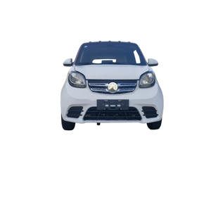 Promoción de Nuevo Producto: Mini Coches Eléctricos Personalizados, EEC 45 km, Pequeño Vehículo Eléctrico de 2 Plazas, Económico, Estándar Europeo - Product Image 4