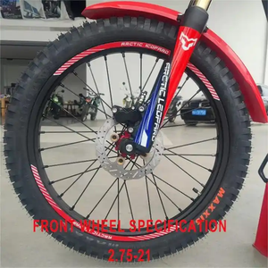 2025 Arctic Leopard E 680 Motos électriques tout-terrain 72V Scooter de transport sportif à 3 vitesses - Product Image 3