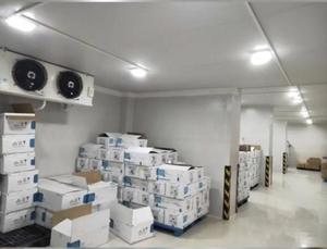 Cámara Frigorífica de 5000 Toneladas al <span class=keywords><strong>Mejor</strong></span> <span class=keywords><strong>Precio</strong></span>, Unidad de Refrigeración de Congelación Rápida para Patatas y Tomates - Product Image 6