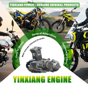 Motor de Repuesto para Motocicleta YINXINAG CVT350, Monocilíndrico, 4 Tiempos, Refrigerado por Agua, Encendido Eléctrico CDI, Garantía de 6 Meses - Product Image 3