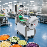 Elektrische groentestrip-snijmachine, commerciële aardappelsnijder met grote invoerhopper voor voedselverwerkende bedrijven