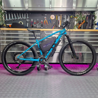 Kit de moteur de moyeu avec écran couleur LCD UKC1 pour vélo électrique QS 205 V3 Sabvoton avec batterie au lithium 500W