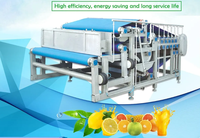 Automatische riemtransporteermachine voor het maken van sap van appel, sinaasappel, watermeloen, mango en ananas.